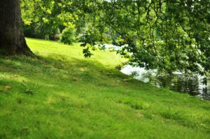 ビートルズ、「ストロベリー・フィールズ・フォーエバー/ペニー・レイン」の発売日は1966年8月5日。和訳含めて解説します！